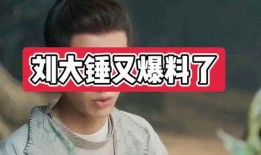 刘大锤视频所有爆料,揭秘娱乐圈惊人内幕