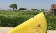 吃瓜网红 图片大全大图,图片大全大图揭秘网络红人幕后生活